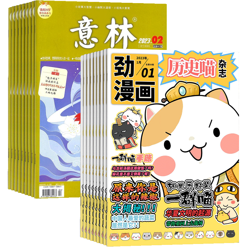 历史喵+意林杂志组合全年订阅
