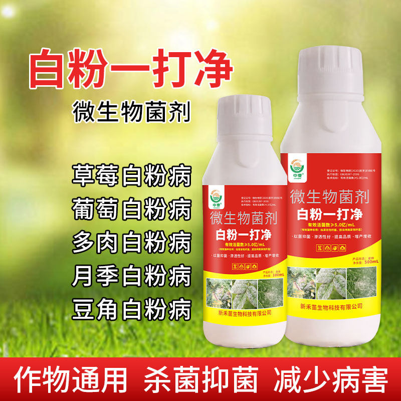 白粉病专用杀菌剂 甜瓜草莓小麦茄子白粉病葡萄辣椒黄瓜 白粉病药