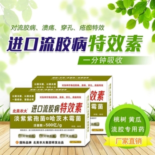 进口流胶病特效素瓜果花卉苹果桃树李子等作物流胶病穿孔病杀菌剂