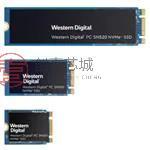 原装SDAPTUW-256G全新固态硬盘 - SSD 256 GB - 3.