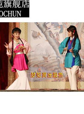 成人古装戏服丫鬟演出服黄梅戏对