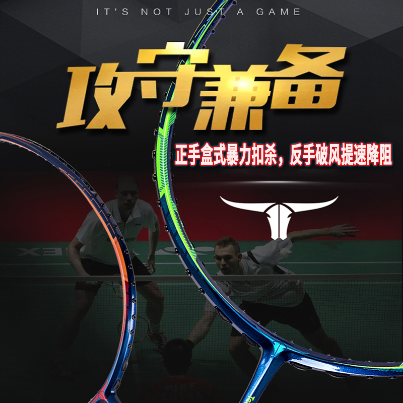 双刃专业全碳素羽毛球拍进阶
