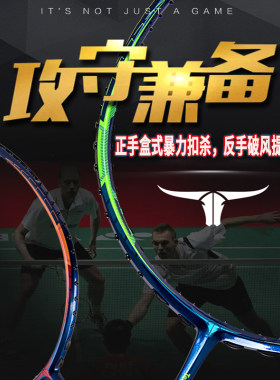 双刃专业全碳素羽毛球拍进阶