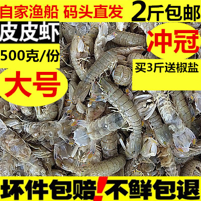皮皮虾鲜活 富贵虾野生 爬虾子虾姑琵琶虾新鲜海鲜大号濑尿虾
