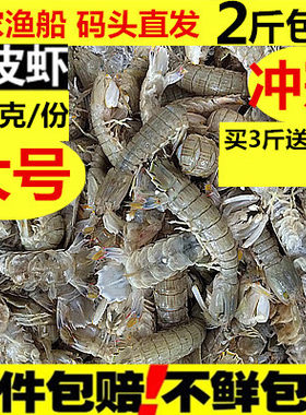 皮皮虾鲜活 富贵虾野生 爬虾子虾姑琵琶虾新鲜海鲜大号濑尿虾