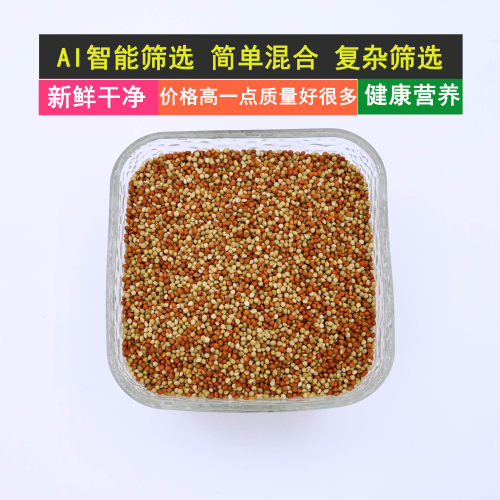 红黄混合谷子带壳小米珍珠鸟文鸟