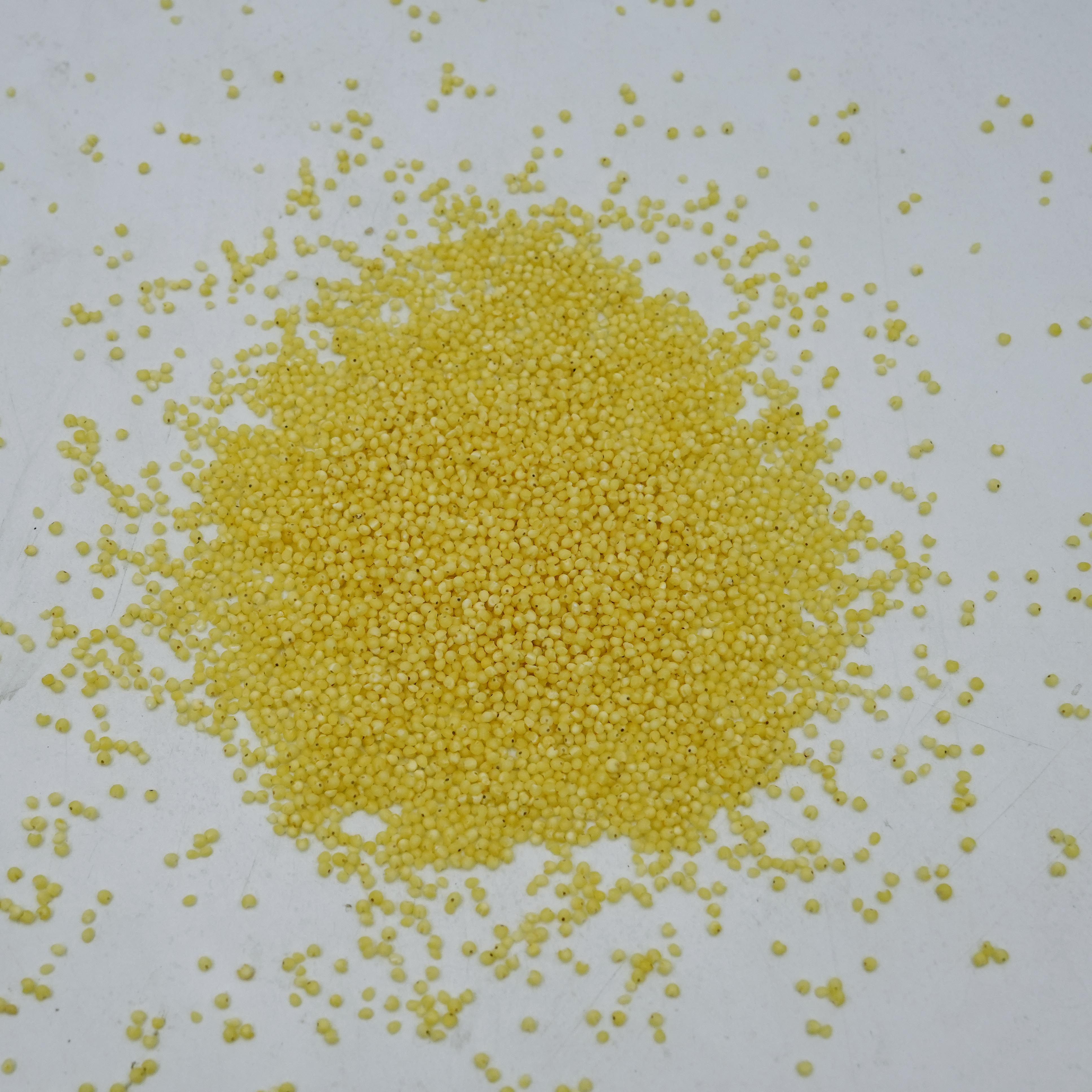 新脱壳黍子鹦鹉粮去壳五色黍子大黄米牡丹虎皮粮,宠物/宠物食品及用品,鸟食,淘宝优惠券,粉丝福利购,淘宝优惠卷