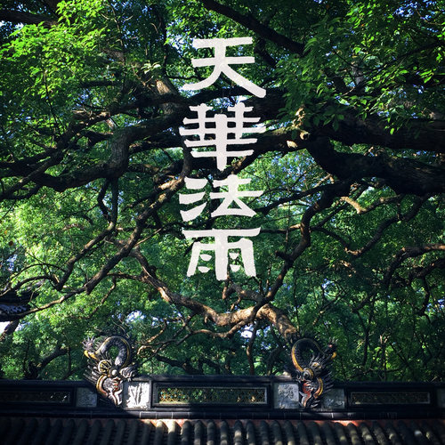 天华法雨·檀香合香 线香 批次26.3.1