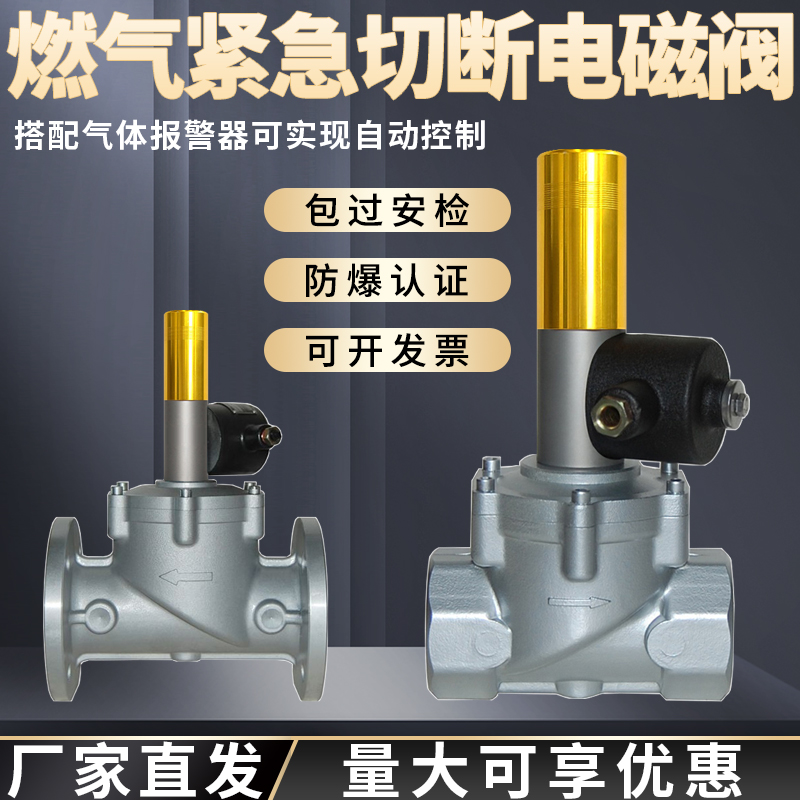 天然气燃气管道电磁式紧急切断阀门安信工业商用DN20/25/32/40/50