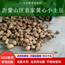 土豆黄皮黄心非现挖农家自种新鲜蔬菜老品种马铃薯洋芋5斤 包邮