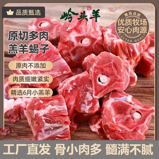 【大海专属】草地羊羊蝎子生鲜新鲜草原散养火锅食材羊脊骨