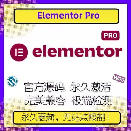 Elementor PRO插件 官方正版 WP编辑器 拖放式主题编辑器 高级版