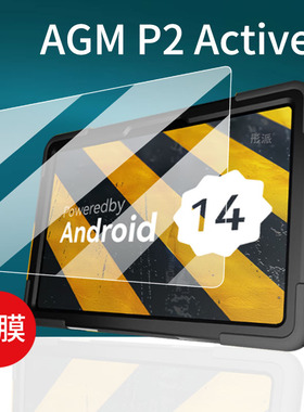 适用AGM P2 Active平板贴膜AGMP2护眼AGMPADP2平板保护膜10.95寸屏幕膜Active电脑非钢化膜学习版全家版壳套