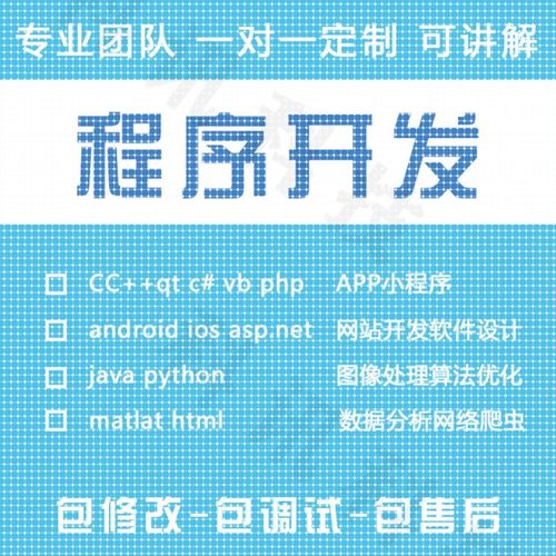 java代编程调试matlab软件开发php代码编写c++语言python深度学习