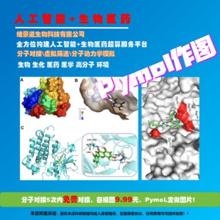 PymoL作图生物医学工程药物设计分子对接虚拟筛选计算化学模拟