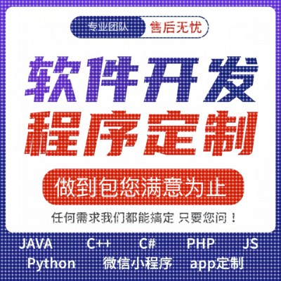 java程序设计web项目php系统python程序开发C++开发代码定制程序