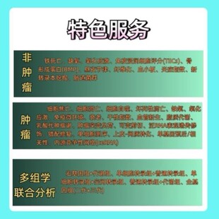 CLIP RNA与蛋白互作 机制研究 高端定制服务 seq与转录组整合分析