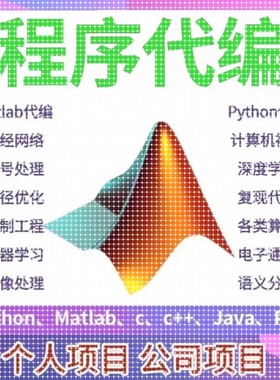 matlab代编程序python代码深度机器学习图像信号处理算法通信彷真