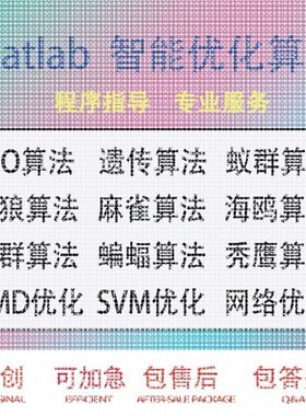 matlab路径规划代编遗传蚁群nsga算法车辆路径优化python强化学习