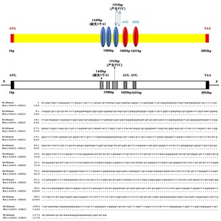 KEGG数据库挖掘 GEO 生信分析单细胞测序服务2 9分定制TCGA