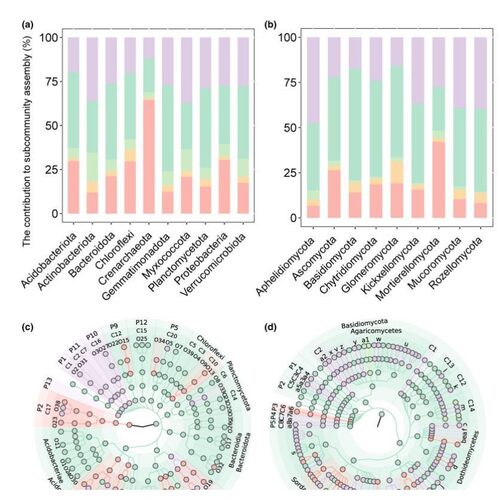 R语言代绘图SCI科研生信环境进化树热图多样性数据分析作图教程