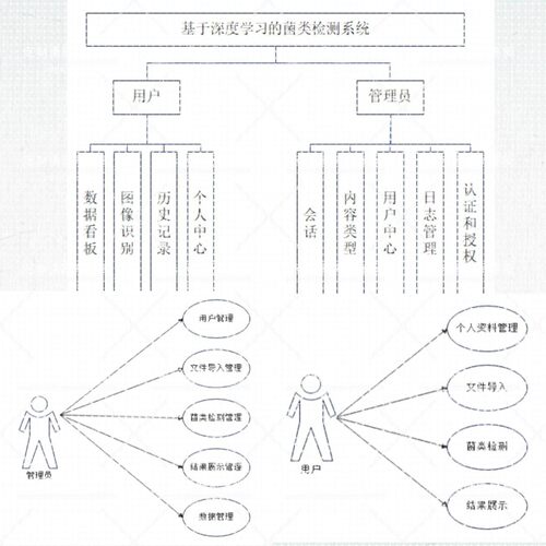 基于深度学习的菌类检测系统  可python图像识别卷积神经网络CNN