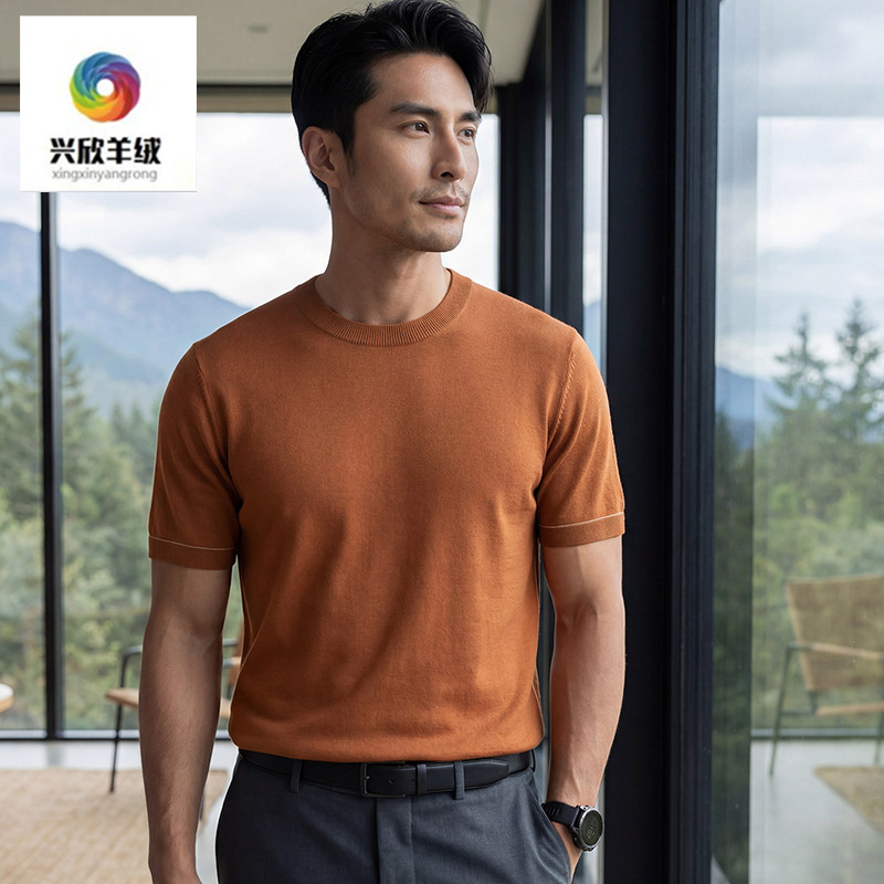 夏季高端精纺桑蚕丝羊绒短袖t恤男士夏圆领真丝凉感羊毛针织上衣