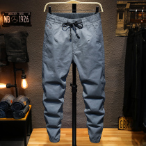 2020 summer thin grey elastic waist casual pants men's big fat loose Harun legged men's pants Hong Kong trend