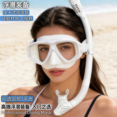 浮潜三宝套装潜水镜全干式呼吸管近视成人潜水面镜罩专业游泳装备