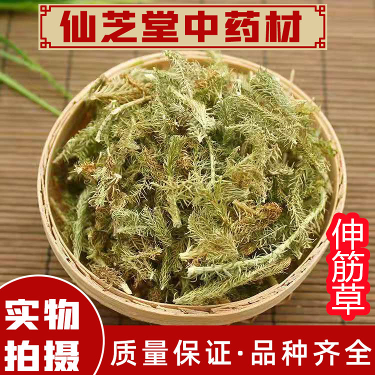 伸筋草中药材别名大伸筋 龙须草 宽筋草 石松狮子 正品 500克包邮