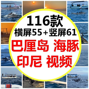 印度尼西亚旅行巴厘岛Lovina罗威纳追海豚小海豚打卡短视频素材