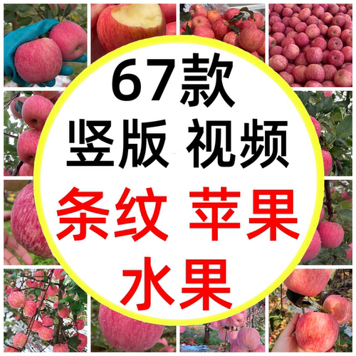 烟台条纹红富士苹果条纹苹果洛川苹果水果采摘摘苹果短视频素材