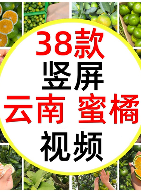 云南高山蜜橘蜜桔橘子绿皮橘子青皮柑子玉溪华宁橘子短视频素材