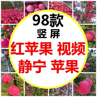三农黄土高原甘肃静宁红富士苹果条纹脆甜多汁红富士短视频素材
