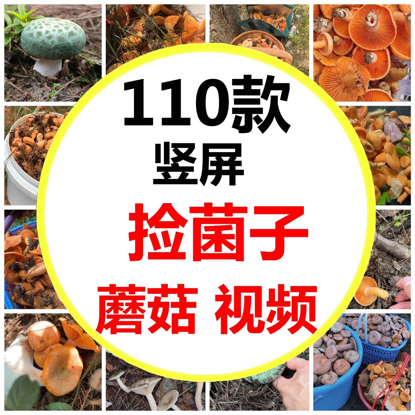 大山里的野味上山捡鸡枞捡菌子采设计素材/源文件