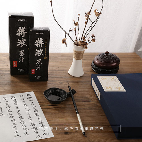 晨光W8813中国韵浓-墨汁中号250ml 特浓款