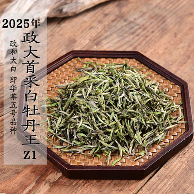 新茶2025年头春首采政大白牡丹王Z1 政和大白品种清明前政和白茶