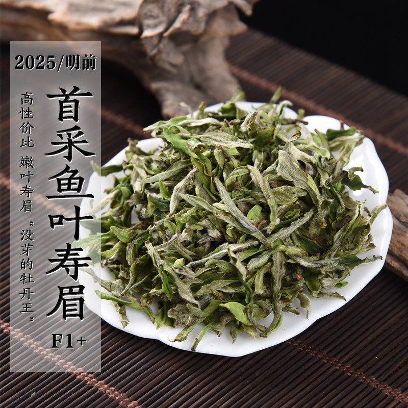 新茶2025年明前首采鱼叶寿眉F1+ 早春政和白茶白毫银针余叶