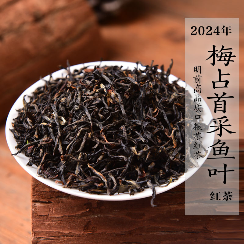 新茶 2024年清明前梅占鱼叶红茶花果蜜香兰花香政和工夫