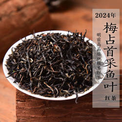 新茶 2024年清明前梅占鱼叶红茶 花果蜜香兰花香政和工夫