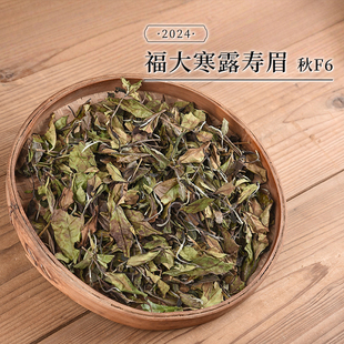 新茶 2024晚秋 福大寒露寿眉 秋F6 秋寿眉  政和白茶口粮茶