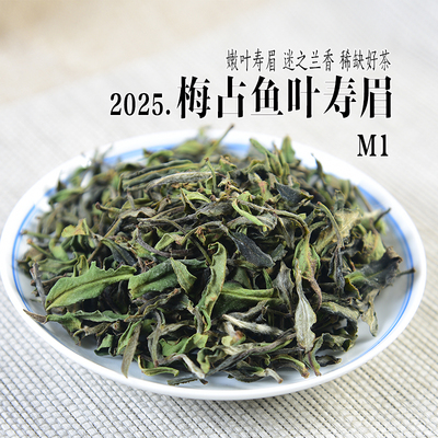 新茶 2025年明前梅占鱼叶寿眉M1 兰花香政和白茶白毫银针余叶