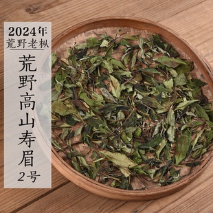 新茶 2024年荒野老枞高山寿眉 2号 花香甜香寿眉政和白茶
