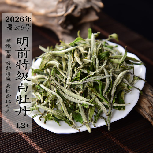 2026新茶明前特级白牡丹