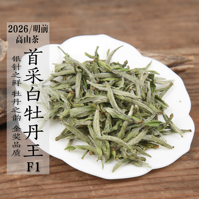新茶预售 2026年头春首采白牡丹王F1  金奖高品质清明前政和白茶