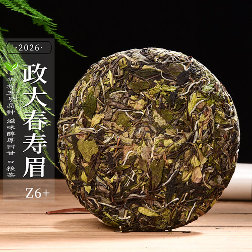 新茶2026年头春政大春寿眉Z6+政和大白品种华茶5号政和白茶饼300g