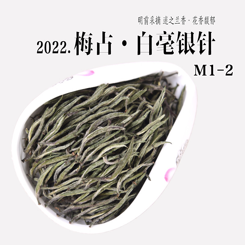 2022年清明前梅占白毫银针M1-2 兰花香政和白茶