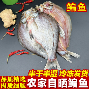 风吹阳干鳊鱼武昌鱼半干半湿低盐自晒腌制淡水鱼糍粑鱼湖南特产