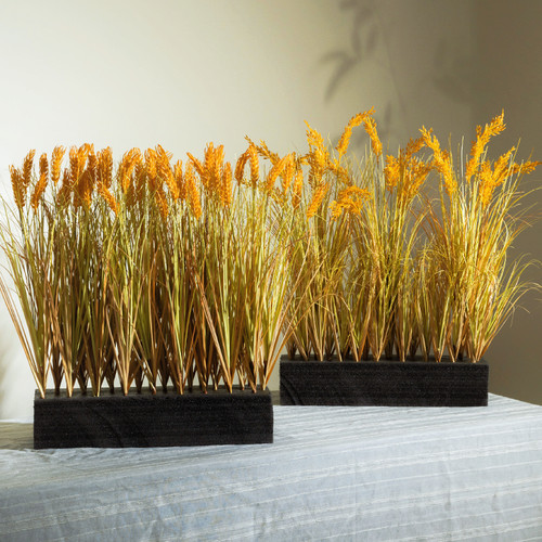 2025新款稻穗干花花束真水稻麦穗田园装饰五谷丰登拍摄道具稻谷花