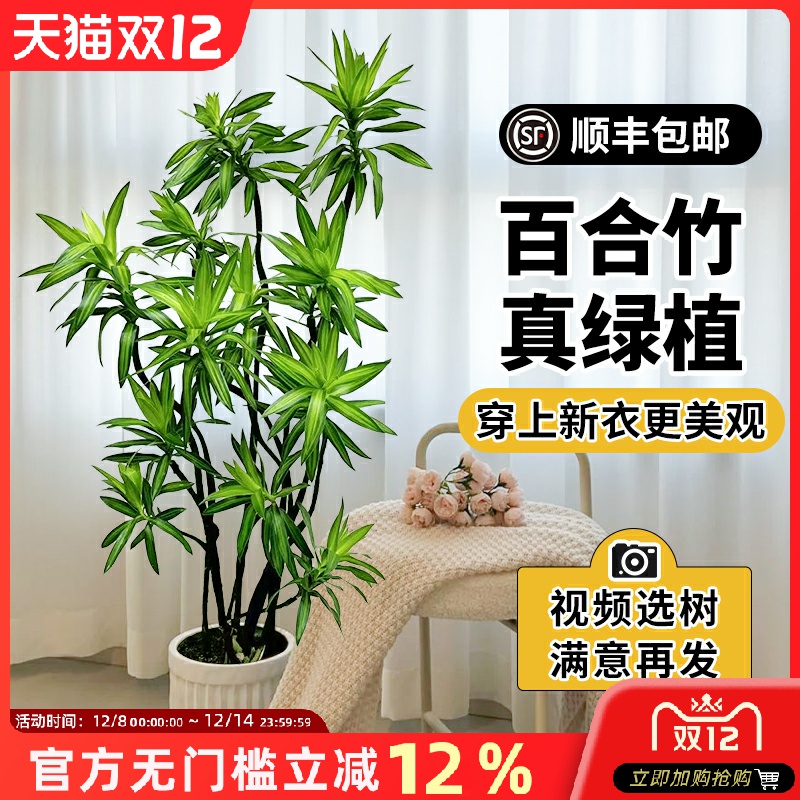 造型盆景铝线定型黑布装饰